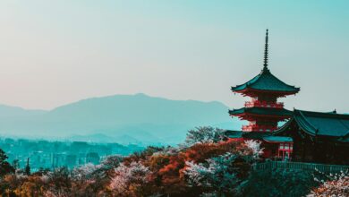 red and black temple surrounded by trees photo